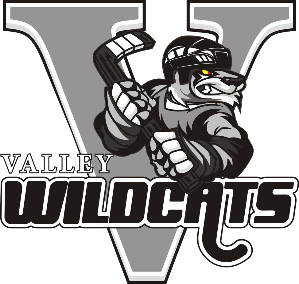 Valley Wildcats 2013-Pres Primary Logo v2 iron on transfers for clothing